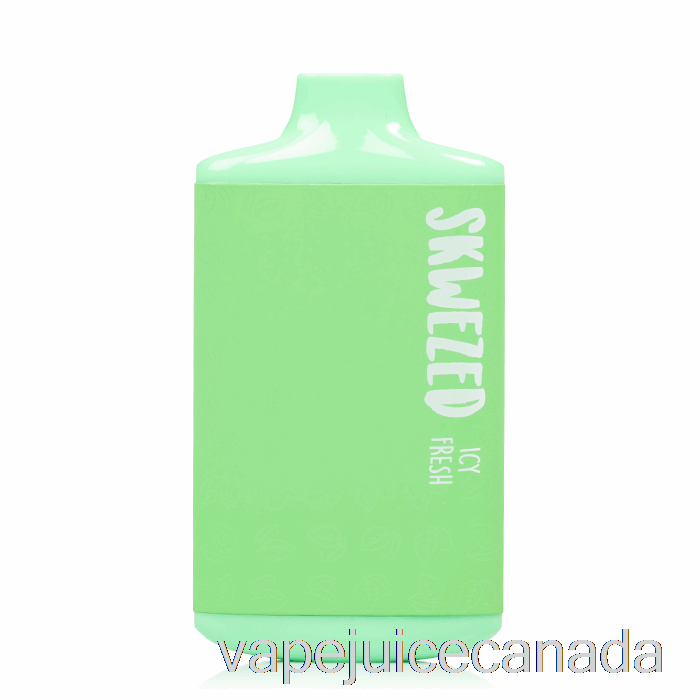 Vape Juice Skwezed 5K Disposable Icy Fresh